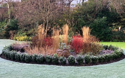 January News – Winter Gardens Feature